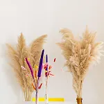 Blumen Szálloda 2*