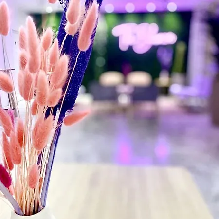 Blumen Hotel 2*