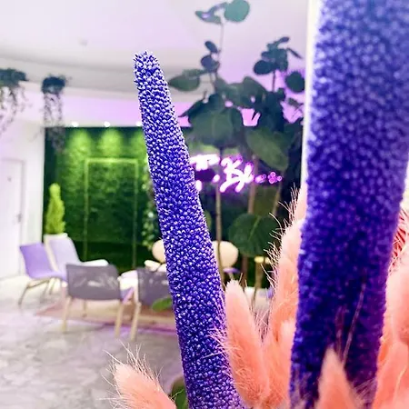 Отель Blumen 2*