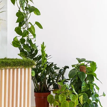 Blumen Hotel San Benedetto del Tronto