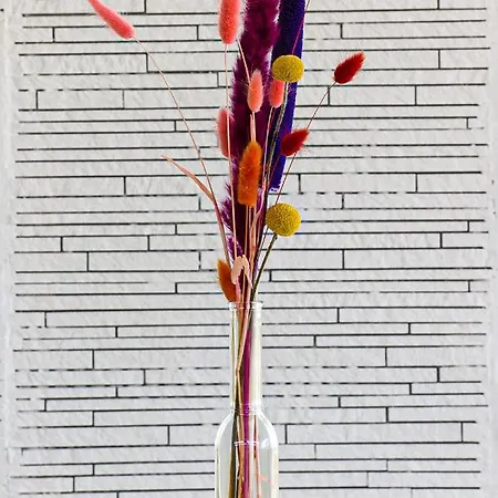 Ξενοδοχείο Blumen