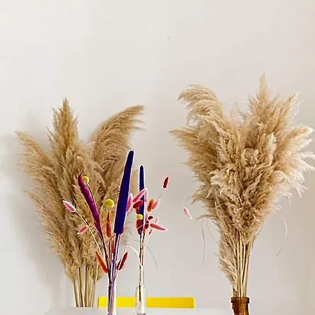 Ξενοδοχείο Blumen
